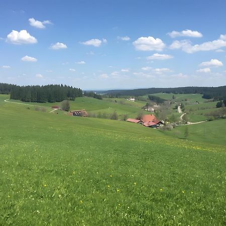 Blackforest Ferienwohnung Санкт-Георген-им-Шварцвальд Экстерьер фото